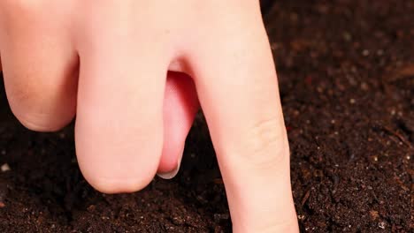 close-up view of fingers pressing into dark, rich soil, showcasing tactile interaction with earth.