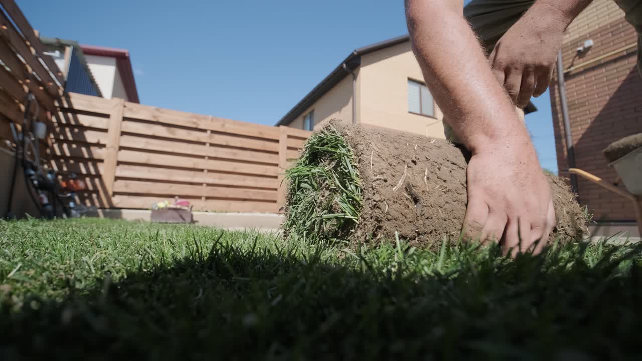 Man Laying Sod Grass in Backyard Garden for Lawn Installation and Landscaping Project, Focused on Home Improvement and Outdoor Maintenance for a Fresh, Green Lawn in a Residential Yard