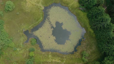 lake of nebeska suza at golija mountain in ivanjica, serbia