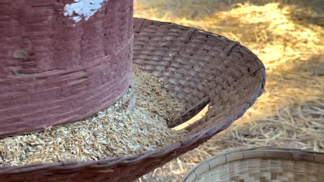 proceso tradicional de trituración del arroz