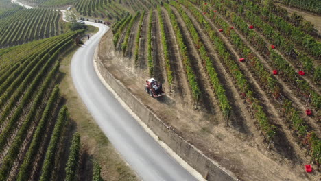 Agricultor-Cosechando-Viña-Con-Maquinaria-De-Tractor