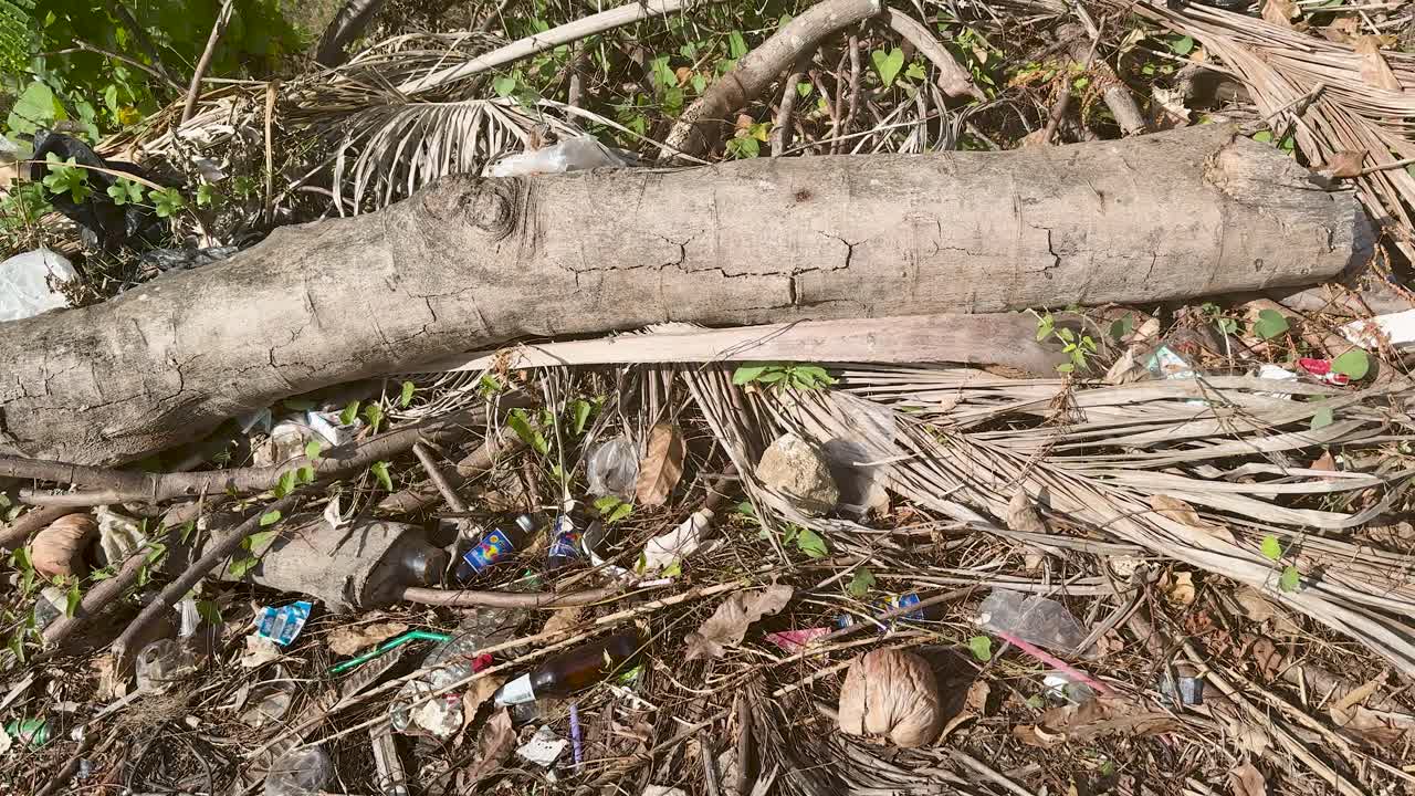Camera pans over littered ground with plastic waste, dry branches, and coconuts in daylight