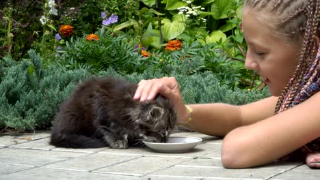 girl and kitten