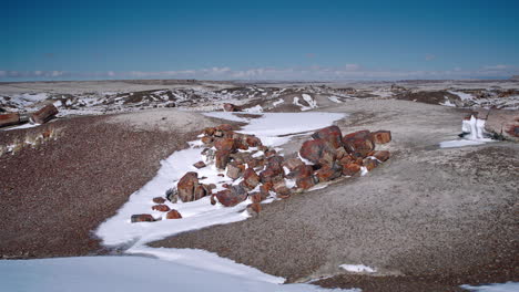 gimbal shot of petrified forest