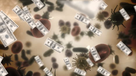 animation of macro covid-19 cells and american dollar bills floating.