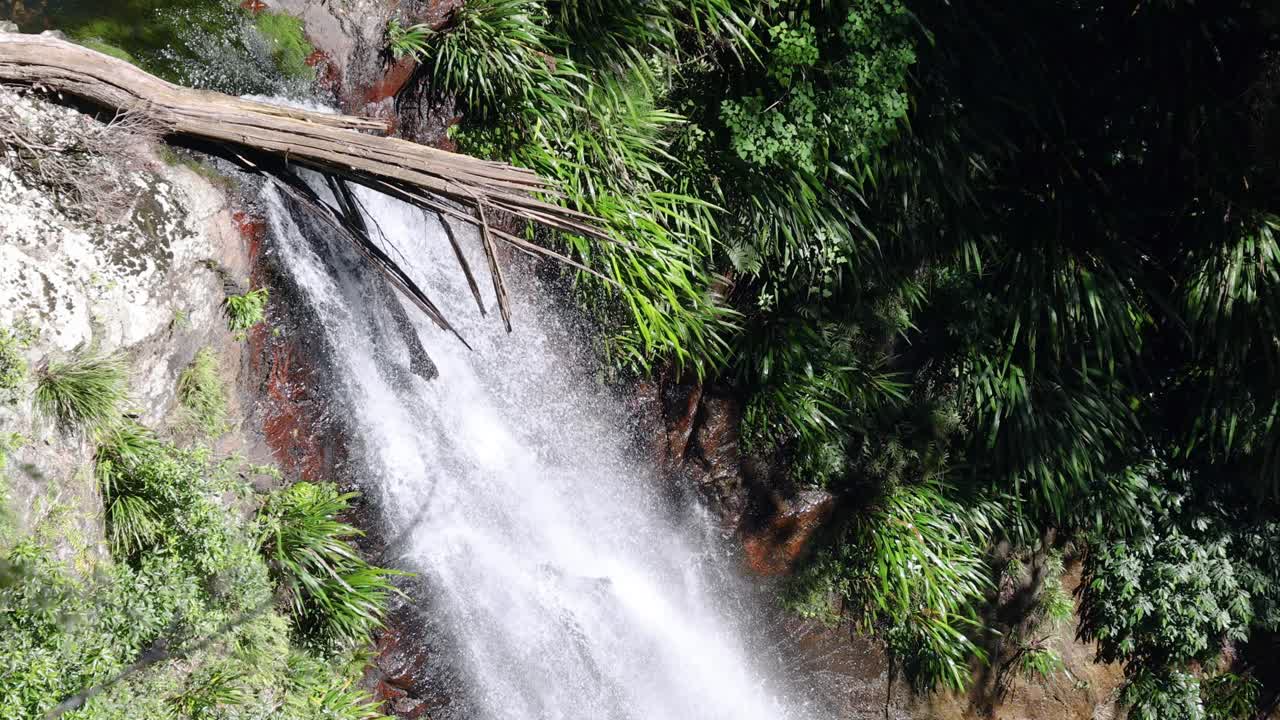 vista aérea de una cascada en un denso bosque