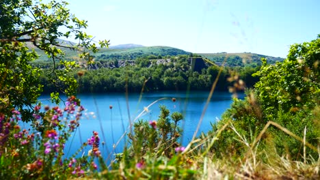 vista desde la cima de la colina con vistas al idílico lago azul brillante rodeado de un denso bosque de campo soleado