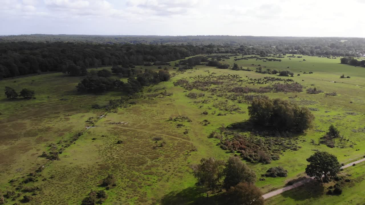 Aerial Capturing breathtaking aerial views of New Forest National Park, showcasing its lush meadows, dense trees, and expansive woodlands. push forward, pan left