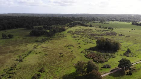 aerial capturing breathtaking aerial views of new forest national park, showcasing its lush meadows, dense trees, and expansive woodlands. push forward, pan left