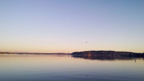 bird flys over lake washington during sunrise slow motion still shot