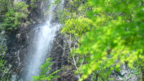 4k video of beautiful fresh green and waterfall in early summer