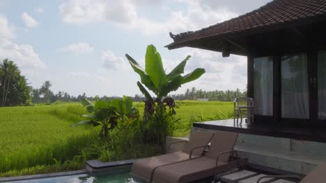 a luxurious villa with a private pool overlooking the lush rice fields of bali, indonesia