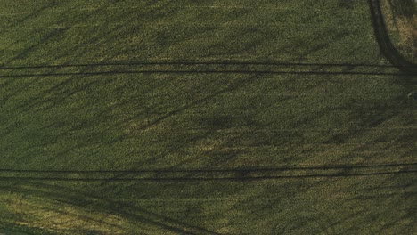 aéreo: imágenes de drones de arriba hacia abajo del campo en jutlandia, dinamarca