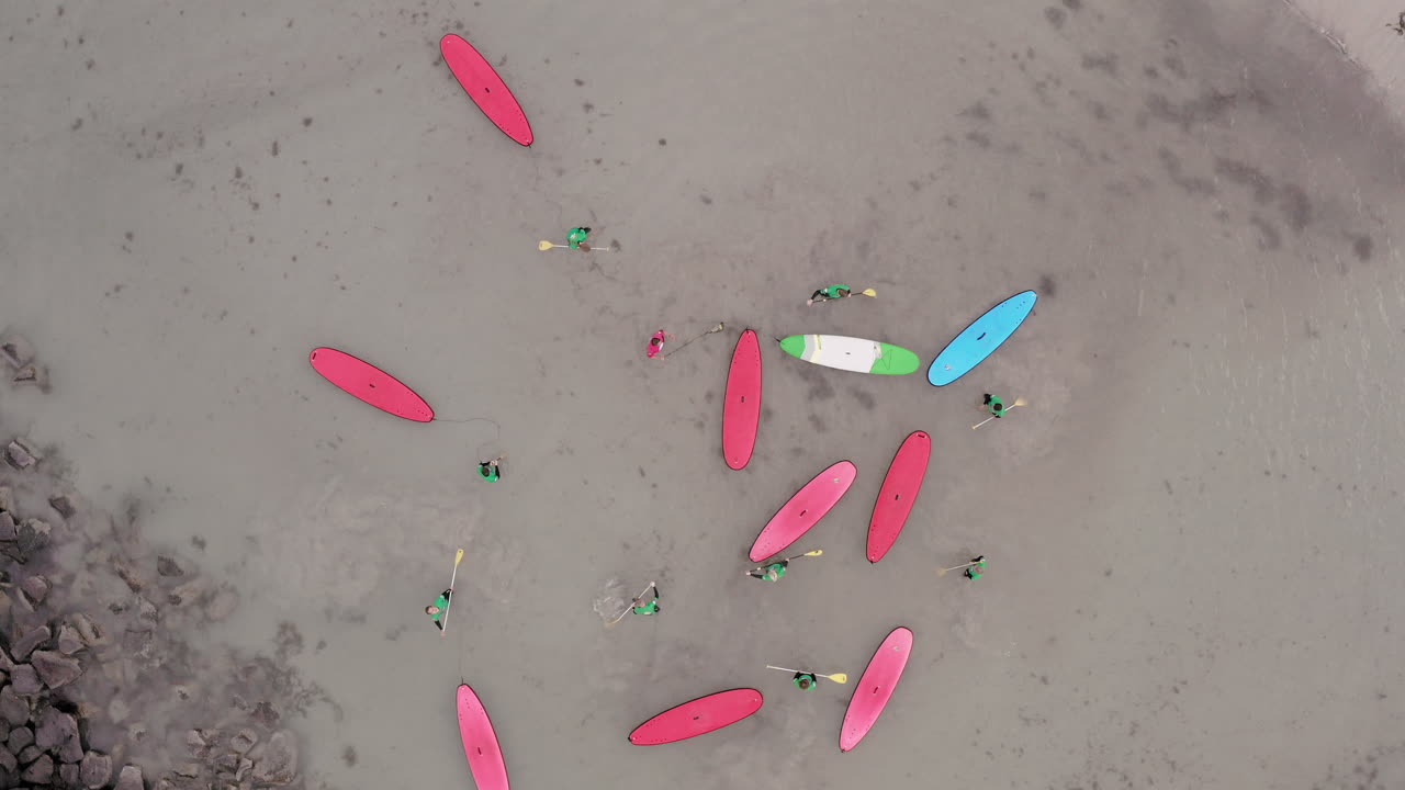 바다에서 패들 보딩을 위해 워밍업하는 스탠드 업 패들러 그룹의 공중 원