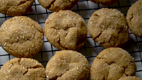 fresh baked cookie on cooling rack, sugary molasses gingersnap biscuits, close up