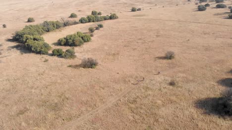 Toma-Aérea-En-Cámara-Lenta-Siguiendo-A-Los-Ciclistas-De-Montaña-Durante-Una-Carrera-Durante-El-Día