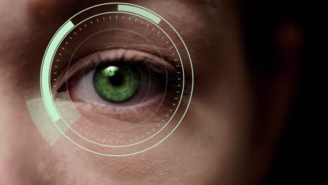 green female eye scan. facial recognition.