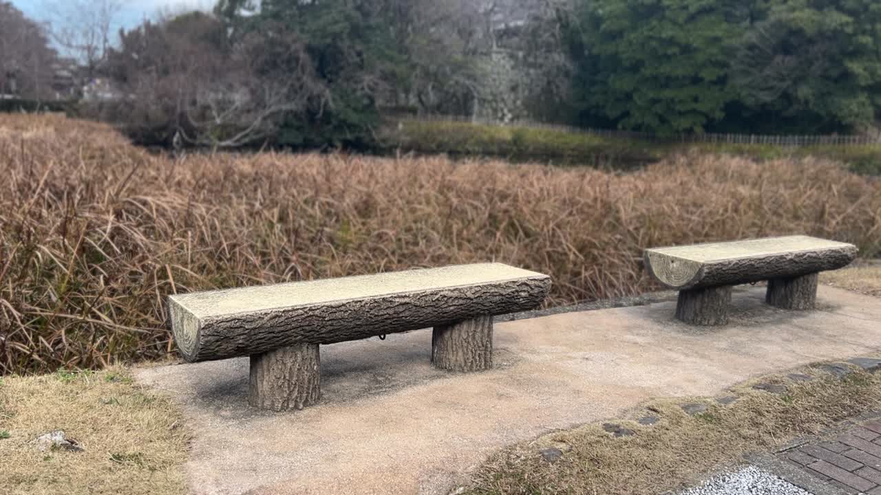 Offentlig tømmerbenk, japansk park
