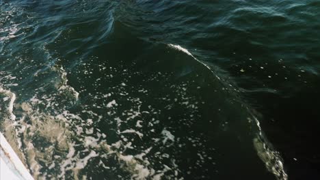 olas del océano pacífico en un barco-yate