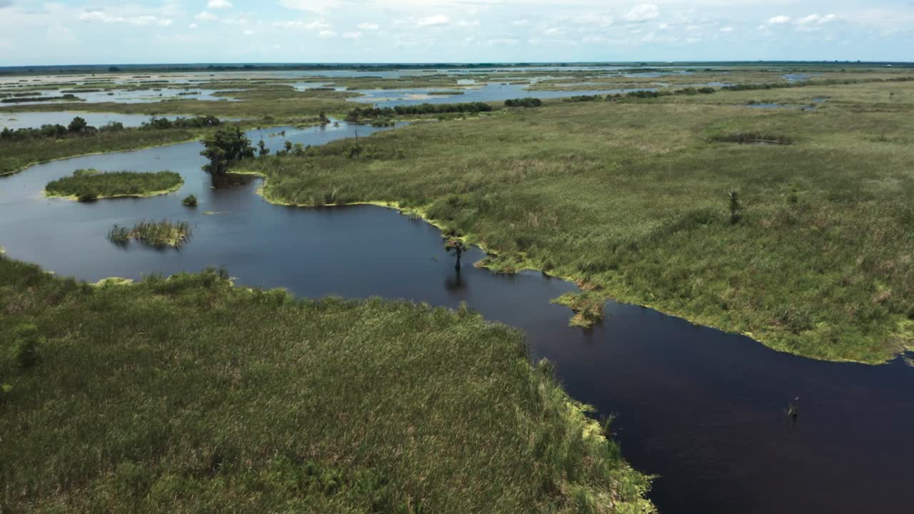 Florida Wetland seen from above with incredible patterns