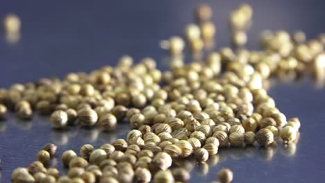 coriander seeds on the table close-up