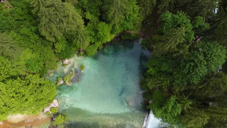 aerial rising from pristine kamniska bistrica river, natural scenic and tourist attraction in slovenia