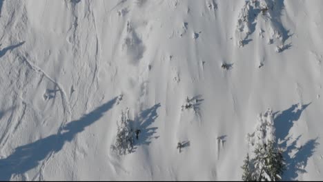 Schnelles-Skifahren-Auf-Frischen-Pisten