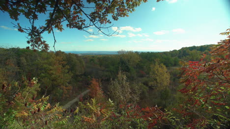 view over a forest as the leaves are turning red and yellow