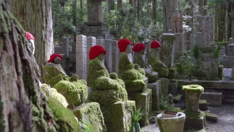 reveal shot over typical jizo statues at japanese forest shrine