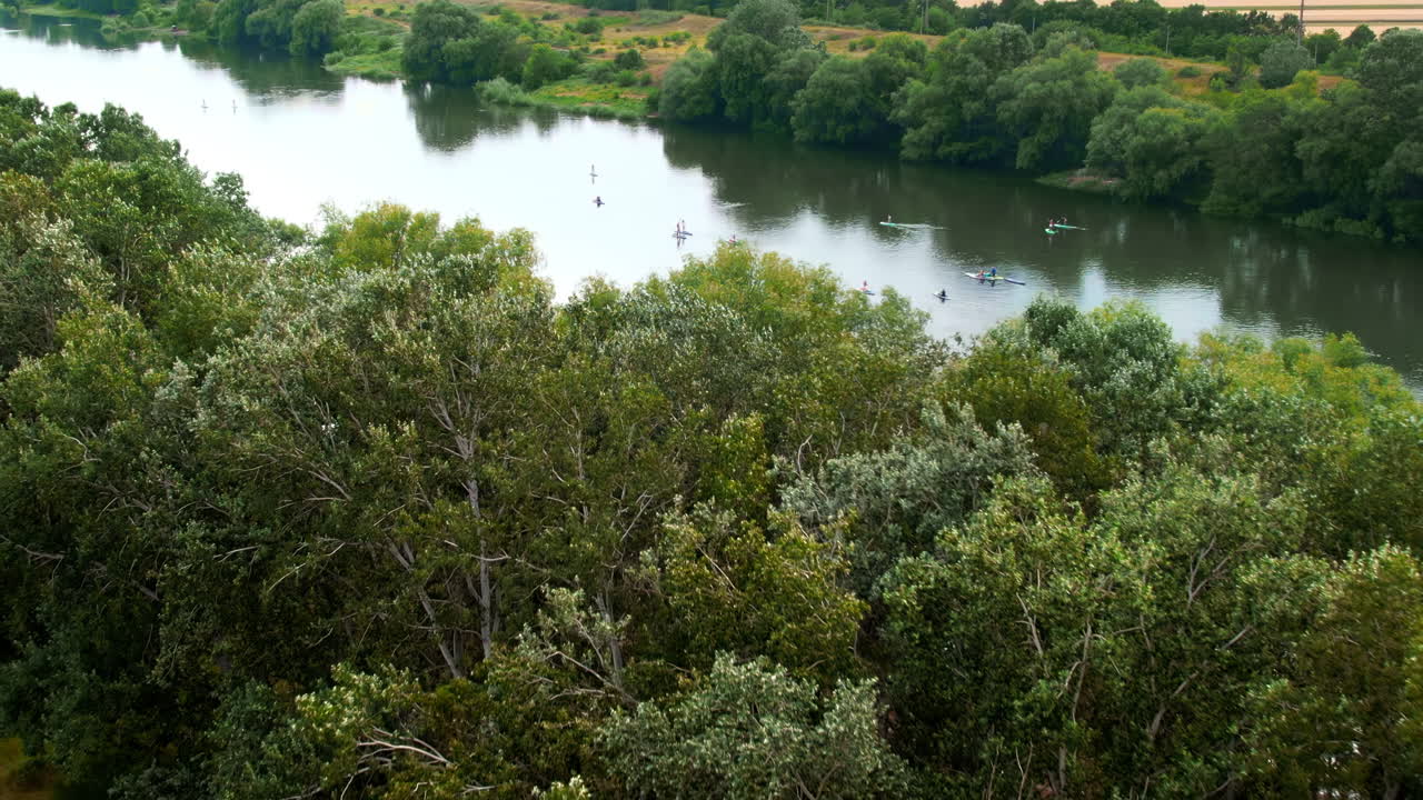 Aerial drone view of multiple people doing standup paddleboarding on the Dniester in Moldova. Lush forest on the both sides of the river