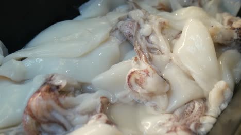 fresh skinless squid on tray