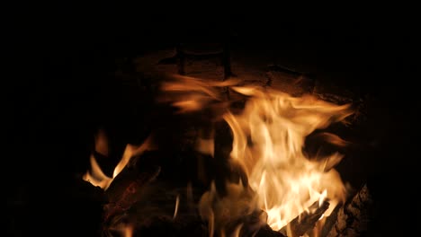 fuego en la chimenea. bucle