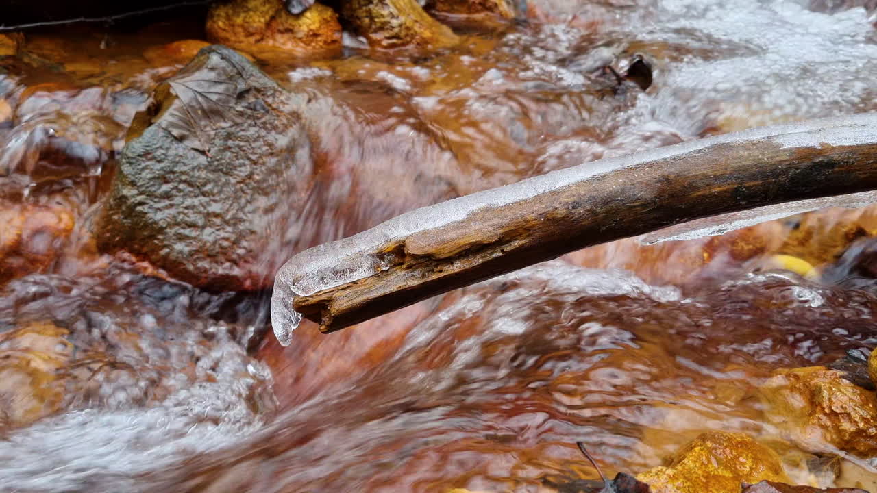 겨울에 강 위의 얼어붙은 가지에 고드름