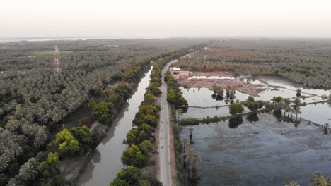 toma aérea del canal de agua al lado de la carretera con bosque de palmeras