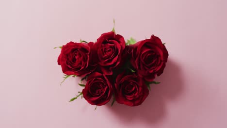 Bouquet-of-red-roses-on-pink-background-at-valentine's-day