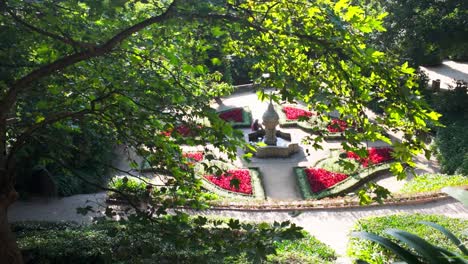 lush garden with vibrant red flowers viewed from above on a sunny day in porto