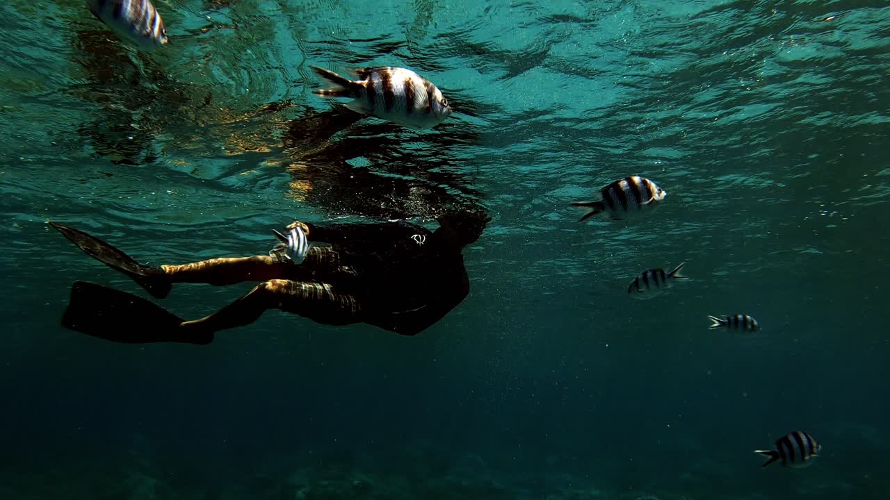 hombre buceando con escuela de sargentos de tijera nadando en el océano