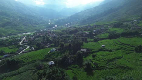 aerial view zooming out reveals lush rice terraces and mountain valley under soft sunlight