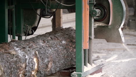 log being processed in a sawmill