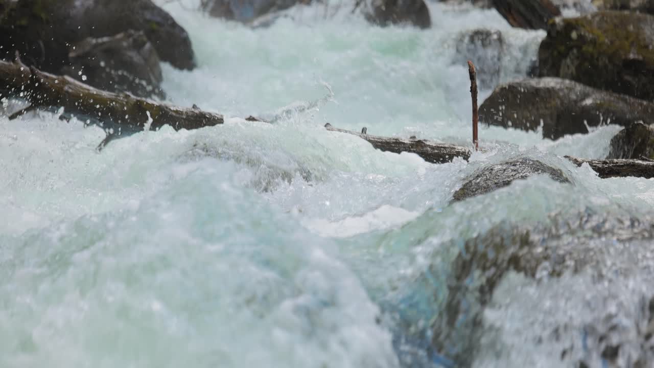 숲 속의 산 강이 느린 영상으로. 아름다운 야생 동식물 풍경.