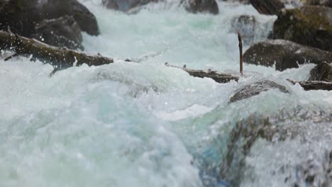 Mountain-River-in-the-wood-in-slow-motion.-Beautiful-wildlife-landscape.