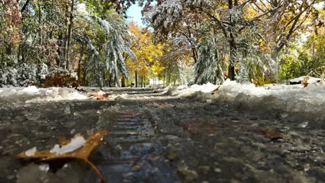 Rückwärtsbewegung-Nach-Dem-Halloween-Sturm-In-Michigan