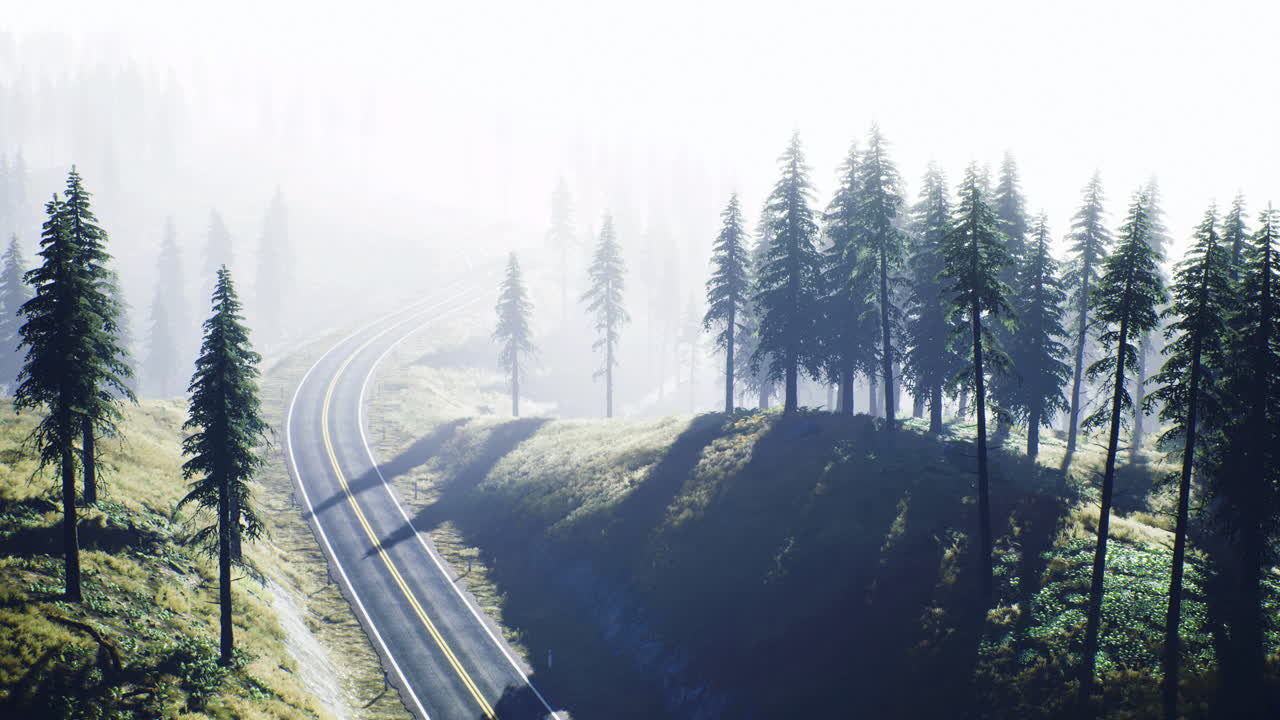 Scenic winding road through misty forested landscape at dawn