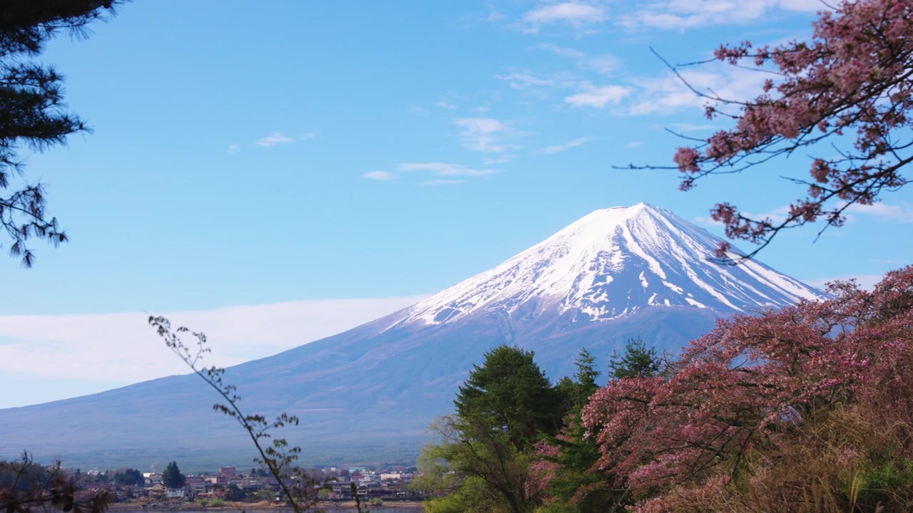 Vista primaverile mozzafiato del Monte Fuji, Giappone in primavera. Ripresa di ambientazione 4k.