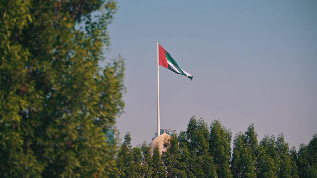 Emirati national flag soaring above green trees in the UAE