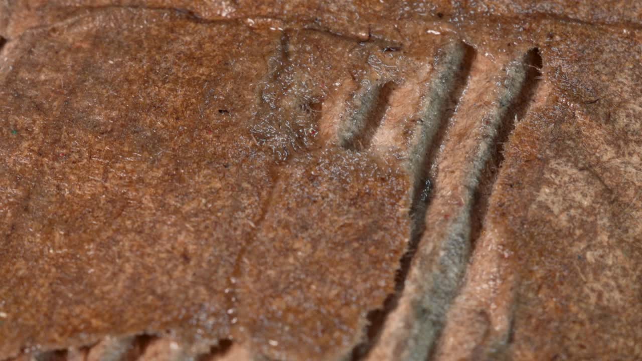 Wet and torn cardboard, macro shot view of extreme detail texture from very close up view with rotation motion.