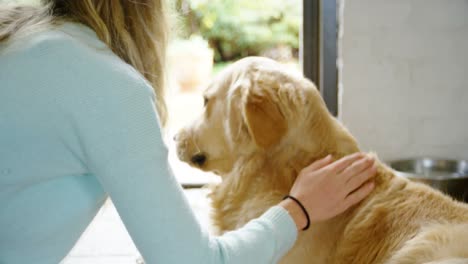 woman stroking her dog at home 4k