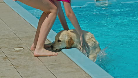 girl helping dog out of pool