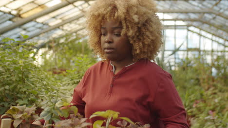 african american woman working in flower greenhouse