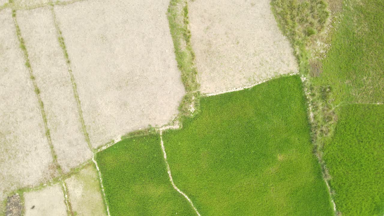 절반은 녹지이고 절반은 사막인 풍경